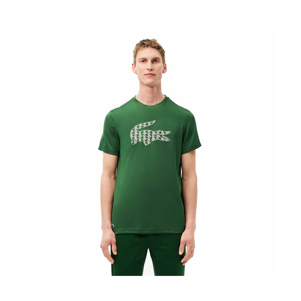 T-Shirt Lacoste Vert