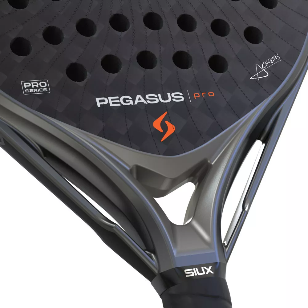 Raquette Siux Pegasus Pro 2026