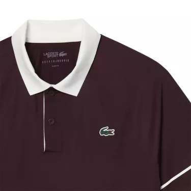 Polo Lacoste Tennis Novak Djokovic On Court Marron / Blanc
